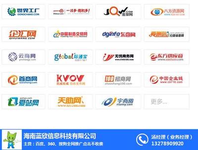 海口网络推广新思路 聚焦技术推广服务与蓝欣品牌赋能