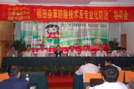 技术推广服务中心 驱动创新与产业升级的核心引擎